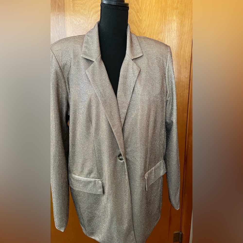 Wild Fable “Metallic” Look Jacket